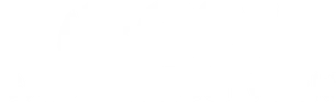 Grupo Inversor Velski